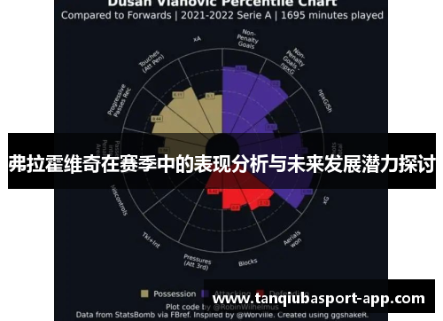 弗拉霍维奇在赛季中的表现分析与未来发展潜力探讨